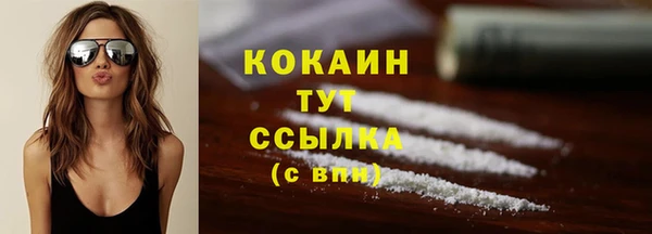 дмт Нязепетровск
