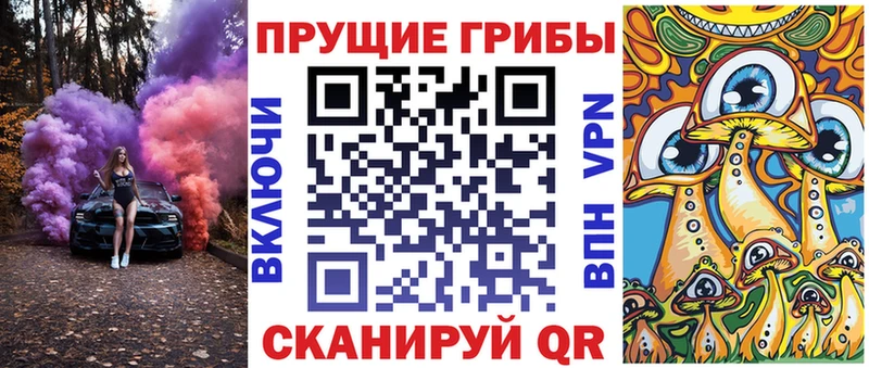 Галлюциногенные грибы MAGIC MUSHROOMS  купить  сайты  МЕГА ССЫЛКА  Тырныауз 