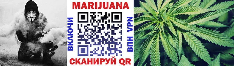 Марихуана план  Тырныауз 